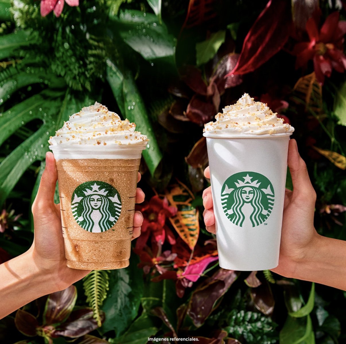Bebidas Starbucks 2x1